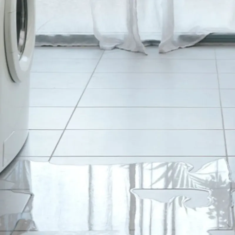 Appliance Leak Cleanup in Grant County, ND